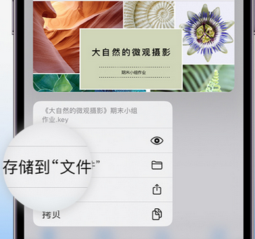 宾川apple维修中心分享iPhone文件应用中存储和找到下载文件