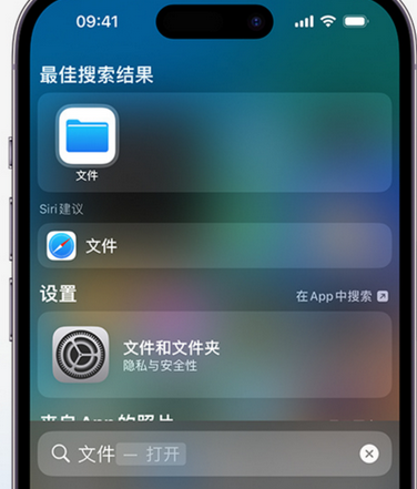 宾川apple维修中心分享iPhone文件应用中存储和找到下载文件 