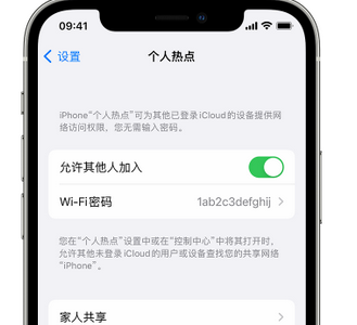 宾川apple服务站点分享iPhone上个人热点丢失了怎么办 