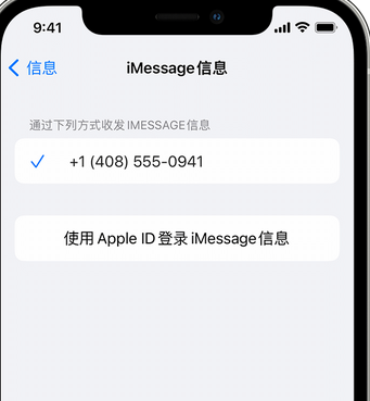 宾川apple维修iPhone上无法正常发送iMessage信息 