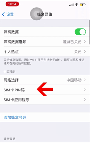 宾川苹果14维修网分享如何给iPhone14的SIM卡设置密码 