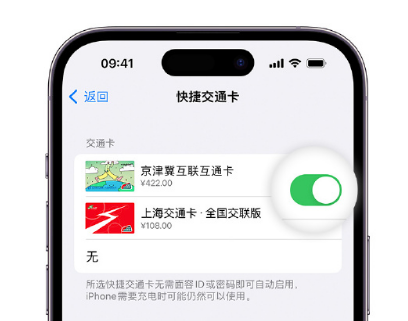 宾川apple维修点分享iPhone上更换Apple Pay快捷交通卡手绘卡面 