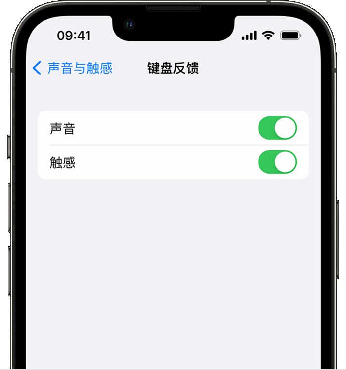 宾川苹果14维修店分享如何在 iPhone 14 机型中使用触感键盘 