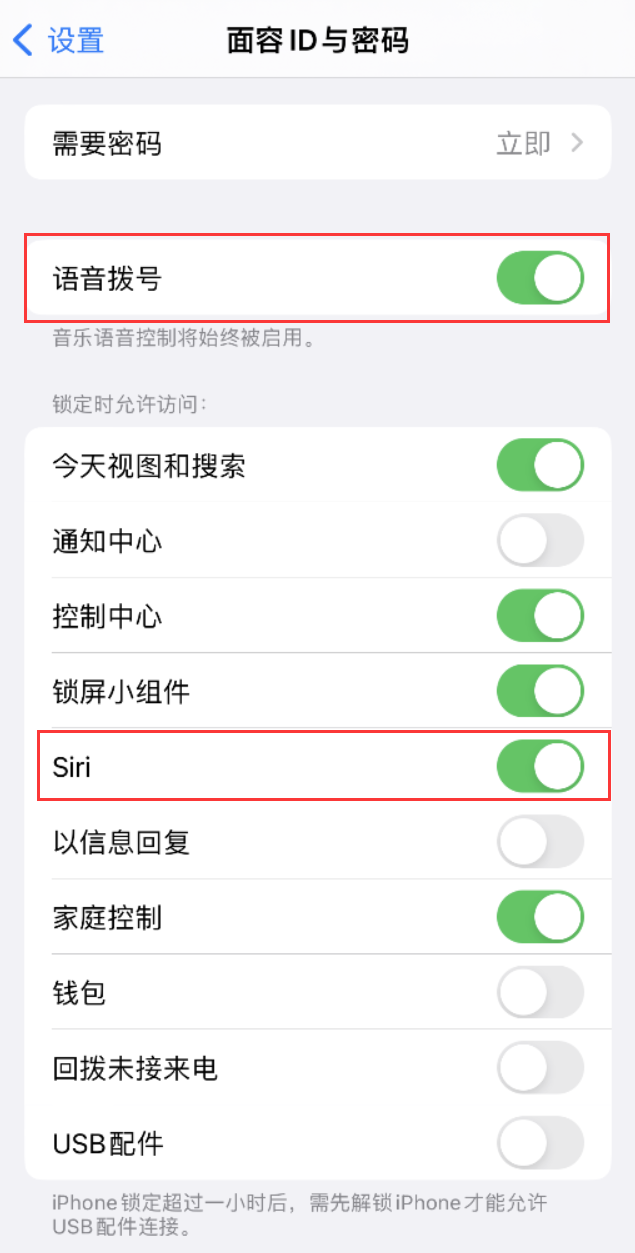 宾川苹果维修网点分享不解锁 iPhone 的情况下通过 Siri 拨打电话的方法 