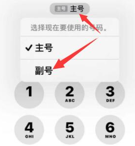 宾川苹果14维修店分享iPhone 14 Pro Max使用副卡打电话的方法 