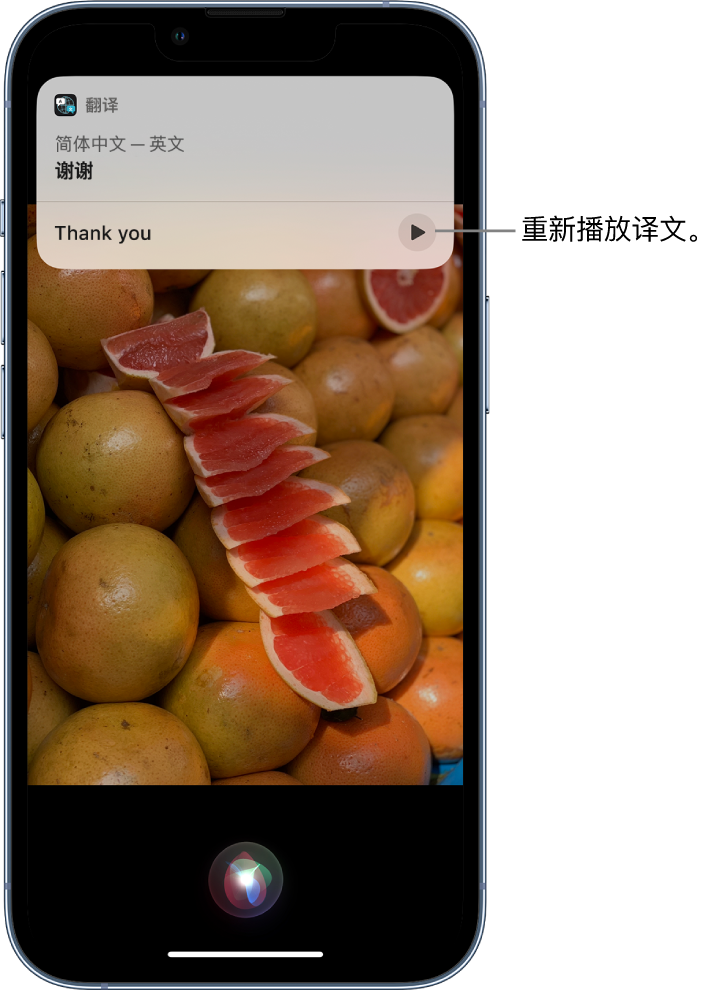 宾川苹果14维修分享 iPhone 14 机型中使用 Siri：了解 Siri 能帮你做什么 