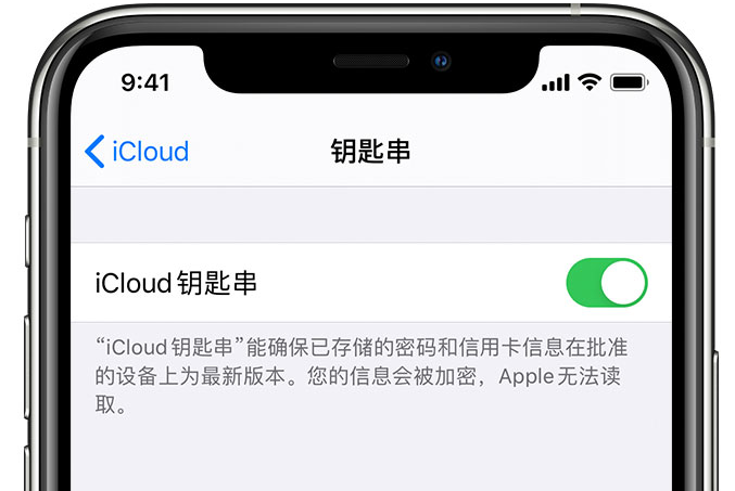 宾川苹果手机维修分享在 iPhone 上开启 iCloud 钥匙串之后会储存哪些信息 