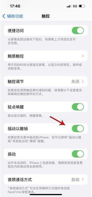 宾川苹果手机维修分享iPhone手机如何设置摇一摇删除文字 