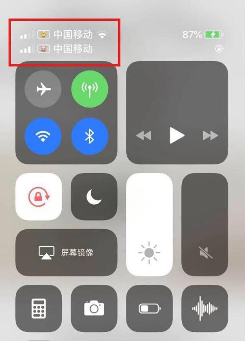 宾川苹果手机维修分享为 iPhone 12 双卡设置标签 